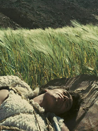 A screenshot from Pier Paolo Pasolini's Edipo Re, showing Oedipus lying in a field.